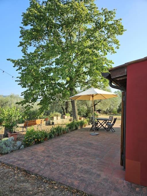 Casina Rossa Apartment Tavarnuzze ภายนอก รูปภาพ
