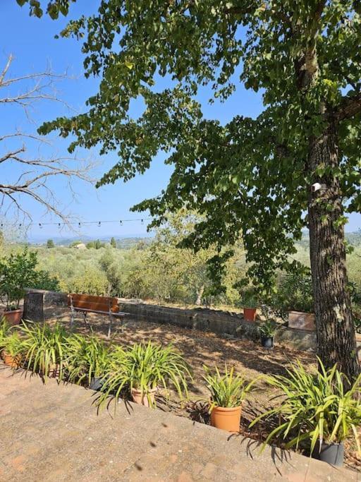 Casina Rossa Apartment Tavarnuzze ภายนอก รูปภาพ